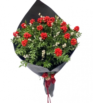 Yılbaşı Çiçeği  Kokina